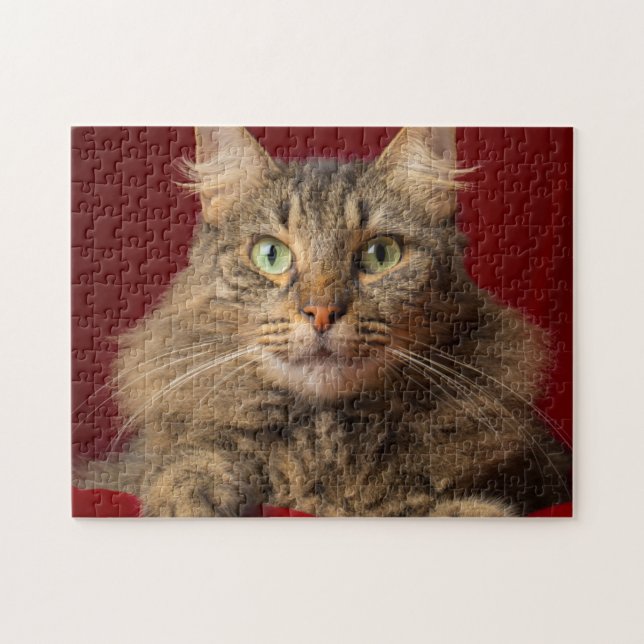 Maine Coon for Christmas with collector Jigsaw Puzzle (Horizontal)