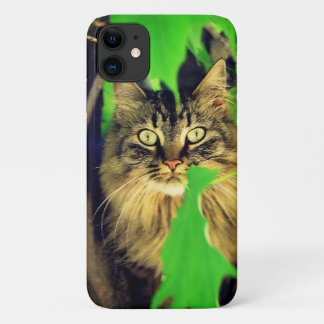 Maine Coon in Tree iPhone 11 Case