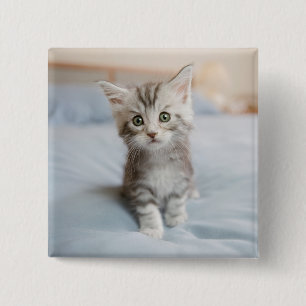 Maine Coon Kitten 2 Inch Square Button