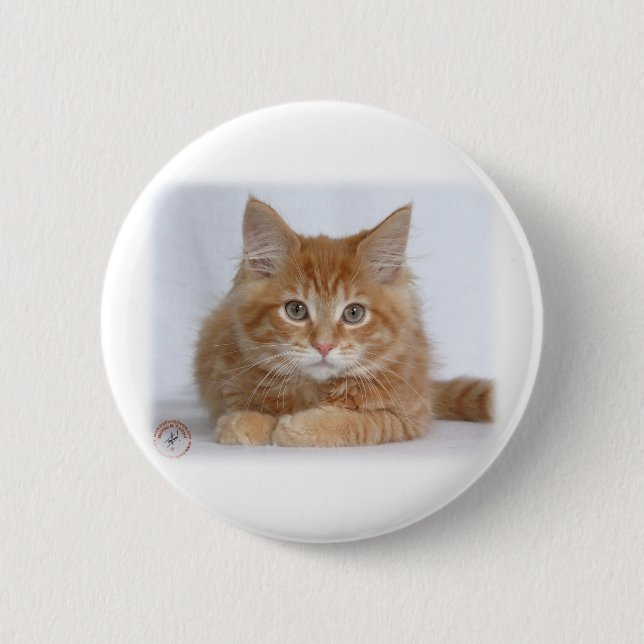 Maine Coon Kitten 9Y226D-373a 2 Inch Round Button (Front)