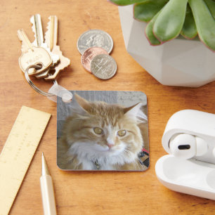 Maine Coon Kitten Face Close-Up Photograph Keychain