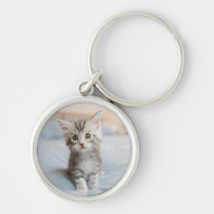 Maine Coon Kitten Keychain