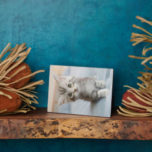 Maine Coon Kitten Plaque