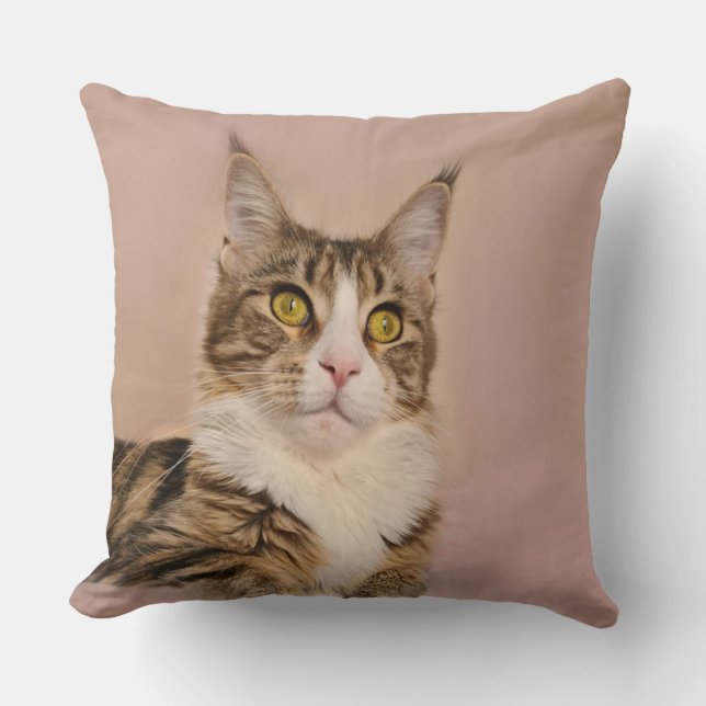 Maine Coon kitten portrait Throw Pillow (Front)