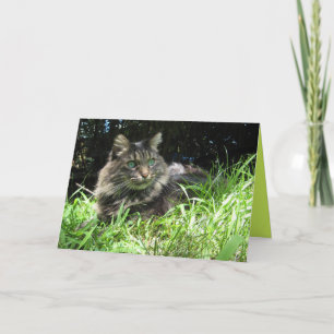 Maine Coon Kitty Cat Cute Customizable Card