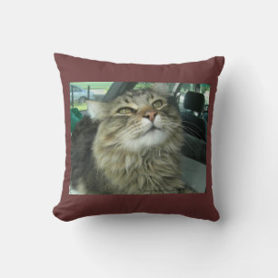 Maine Coon kitty Throw Pillow