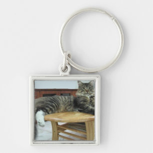 maine coon laying 2 keychain