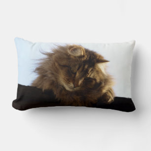 Maine Coon Long-hair Tabby Cat Animal Pet Lumbar Pillow