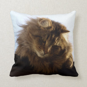 Maine Coon Long-hair Tabby Cat Throw Pillow