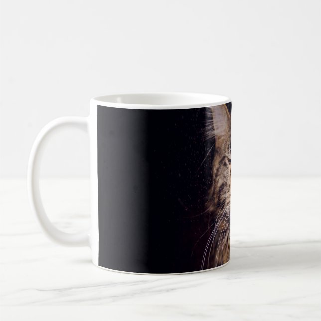 maine coon on a black background younganimal,cat,c coffee mug (Left)