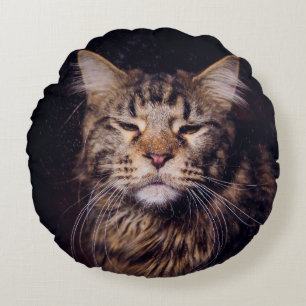 maine coon on a black background younganimal,cat,c round pillow