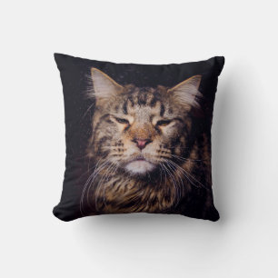 maine coon on a black background younganimal,cat,c throw pillow