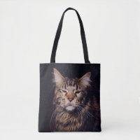 maine coon on a black background younganimal,cat,c