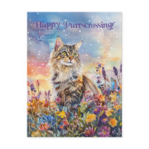 Maine Coon Postcrossing - Postcard