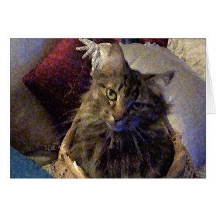 Maine Coon Tabby Cat