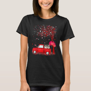 Maine Coon Valentine's Day S Cats Red Truck Hearts T-Shirt