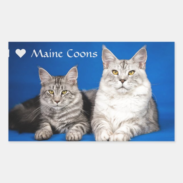 Maine Coons Cats Sticker (Front)