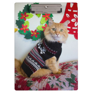 Maine Guy I Clipboard