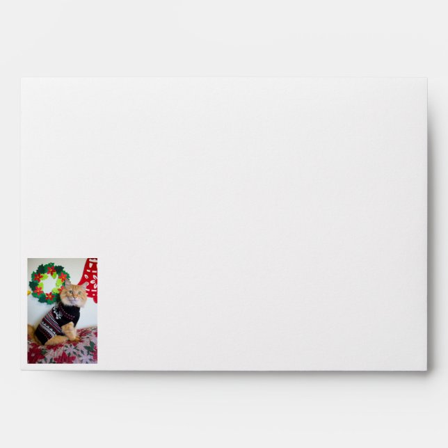 Maine Guy I Envelope (Front)