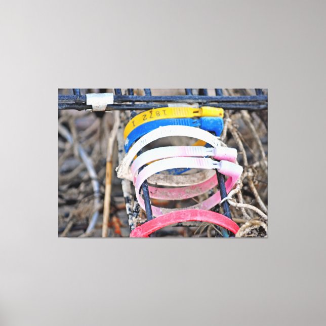 Maine Lobster Trap Tags Canvas Print (Front)