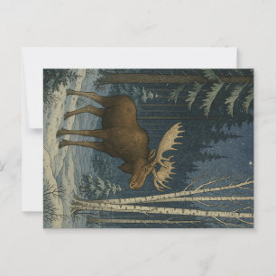Maine Moose in Winter Snow Postcard