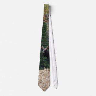 Maine Moose Yearling Tie