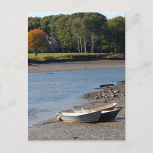 Maine Rowboats Water Photo Postcard