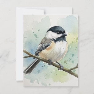 Maine State Bird Black-Capped Chickadee Postcard