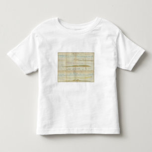 Maine vertical sections toddler t-shirt
