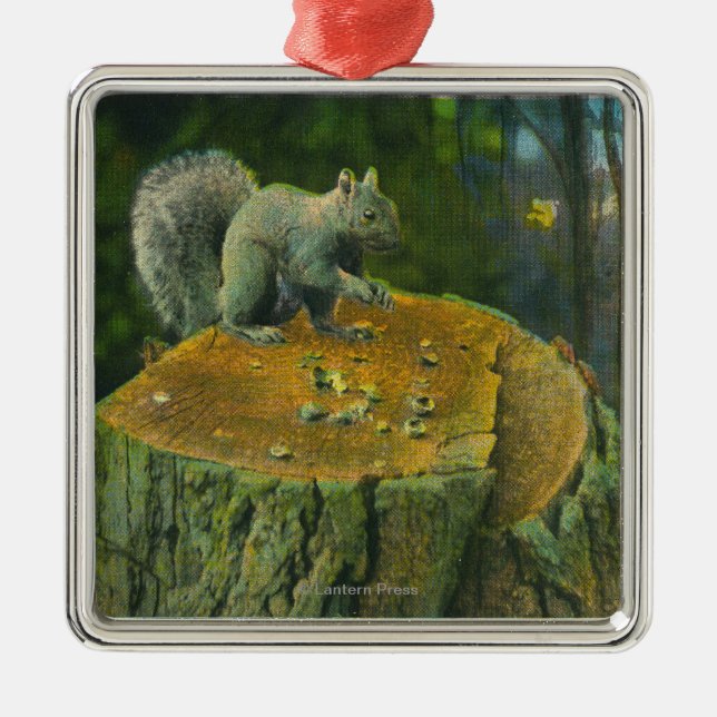 MaineA Little Nutcracker Squirrel from Maine Metal Ornament (Front)