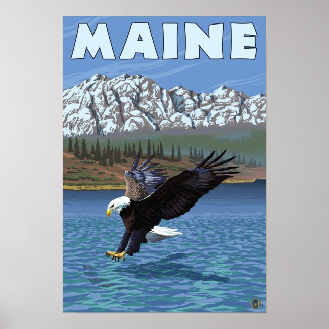 MaineEagle Fishing Poster (Front)
