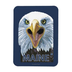 MaineEagle Up Close Magnet