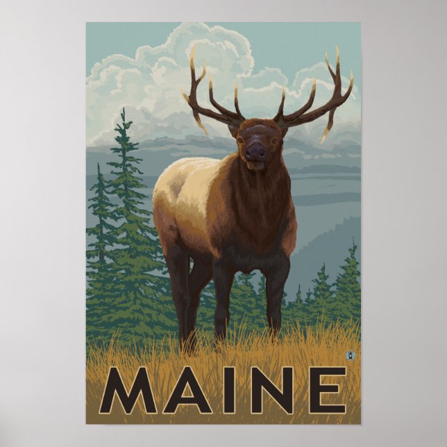 MaineElk Scene Poster (Front)