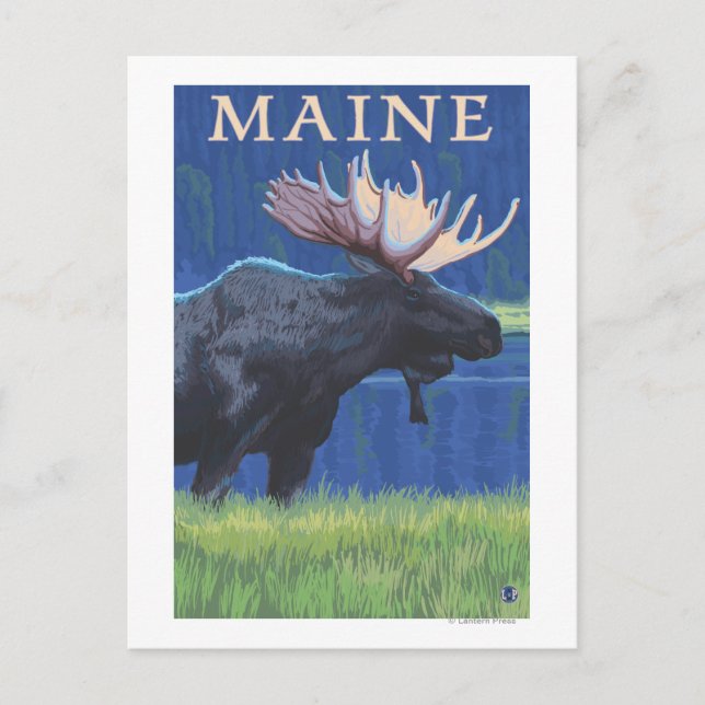 MaineMoose in the Moonlight Postcard (Front)