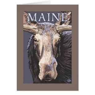 MaineMoose Up Close
