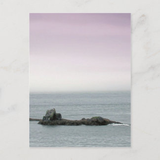 Maine's Coastal Seascape Postcard