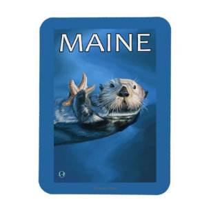 MaineSea Otter Scene Magnet