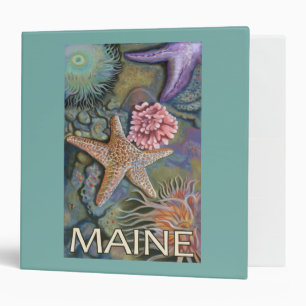 MaineTidepool Scene Binder