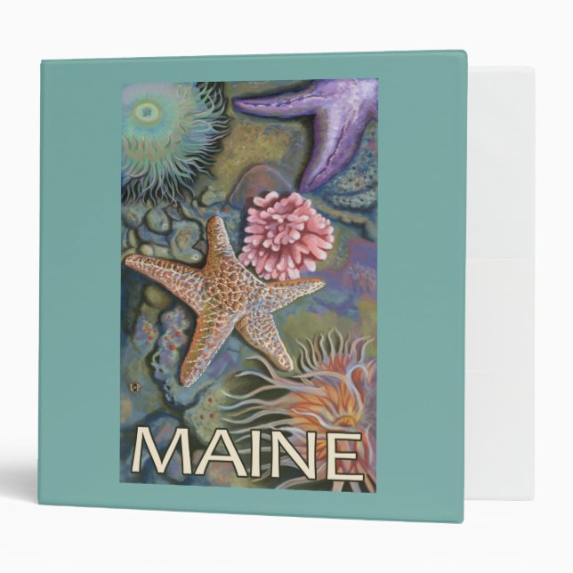 MaineTidepool Scene Binder (Front/Inside)