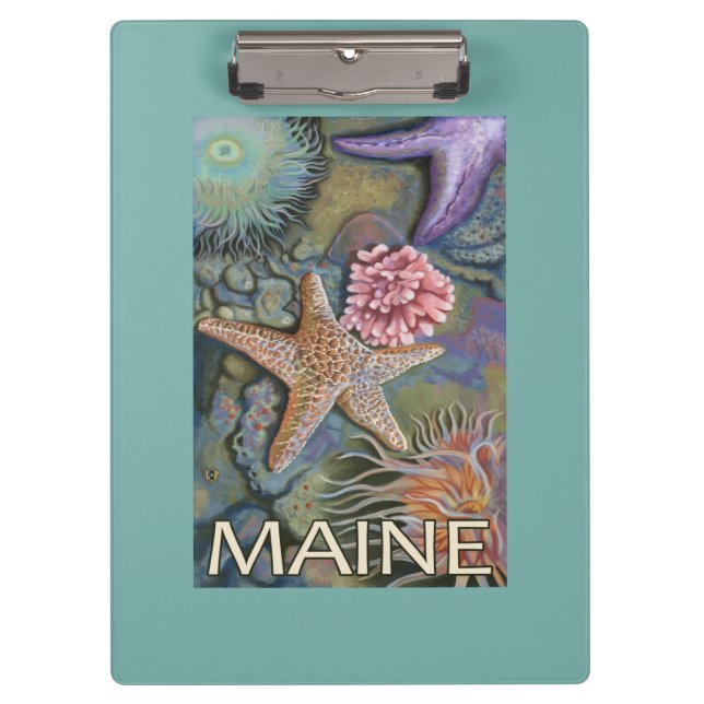 MaineTidepool Scene Clipboard (Front)