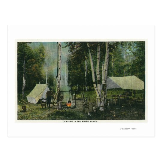 MaineView of a Campground in the Maine Woods Postcard