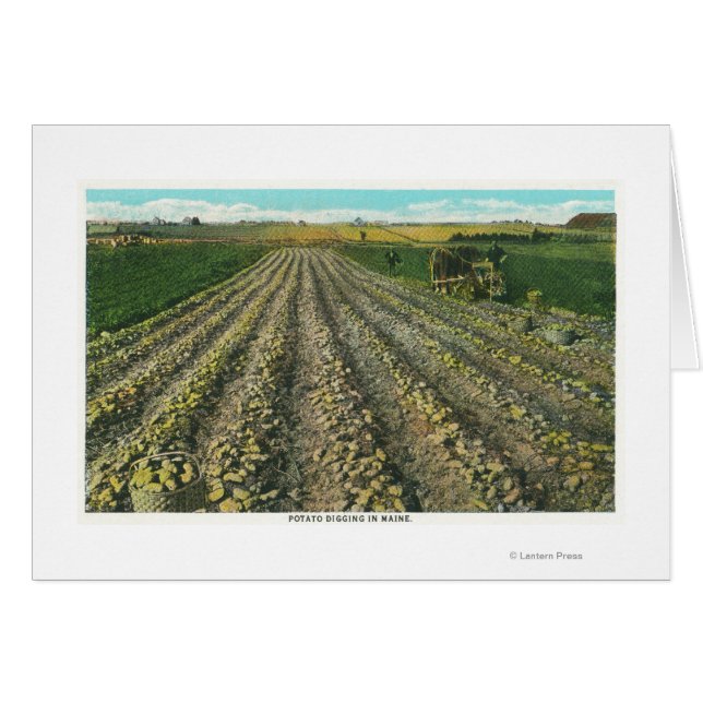 MaineView of a Potato Farm in Maine (Front Horizontal)
