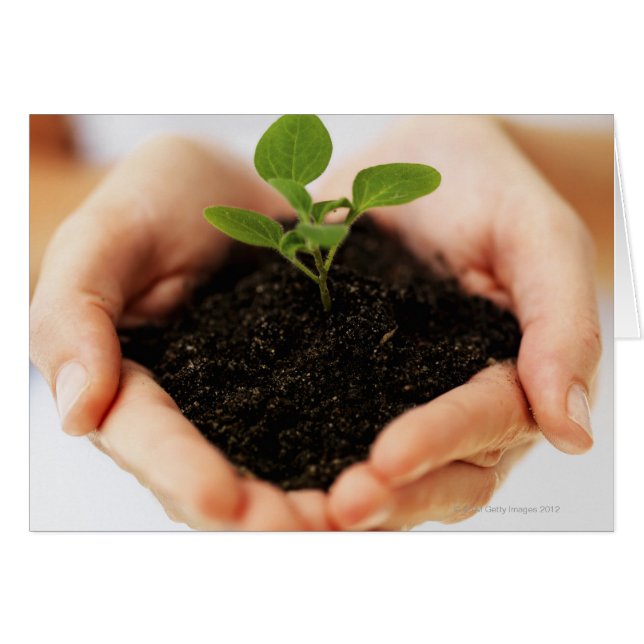 Mains tenant la rampe (Devant horizontal)