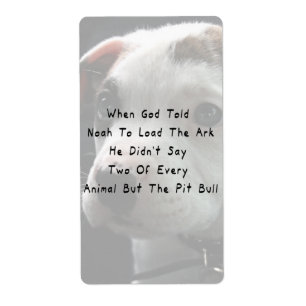 Mais le pitbull