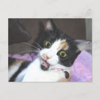 maisie postcard