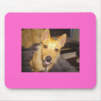 'Maisie' The Jack Russell Mouse Pad