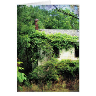 Maison Blanche abandonnée dans les bois