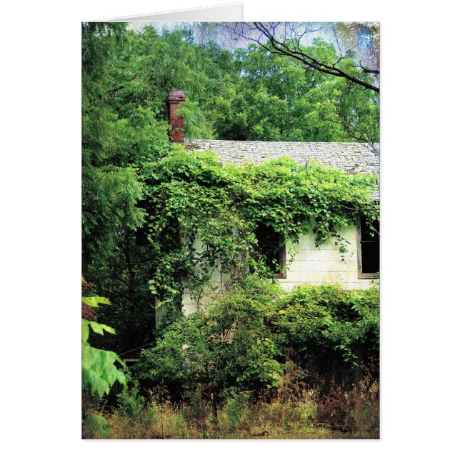 Maison Blanche abandonnée dans les bois (Devant)