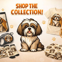 Maison de chien Shih Tzu