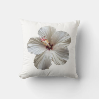 Maison de décoration de coussin mignon